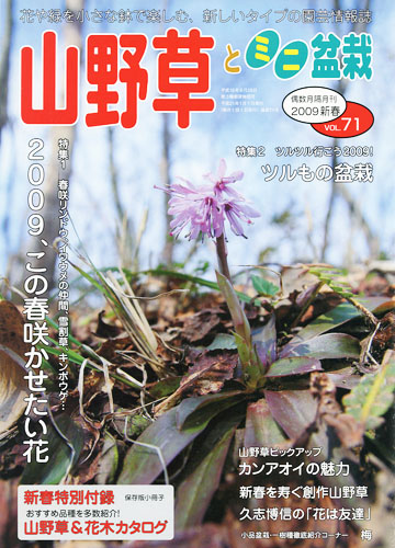 隔月刊「山野草とミニ盆栽」09年新春号