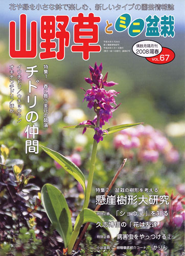 隔月刊「山野草とミニ盆栽」08年陽春号