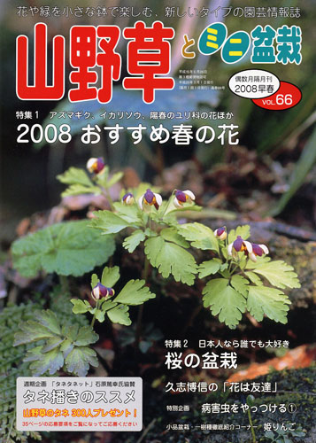 隔月刊「山野草とミニ盆栽」08年早春号