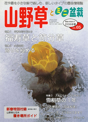 隔月刊「山野草とミニ盆栽」08年新春号