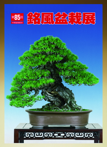第85回 銘風盆栽展 記念帖