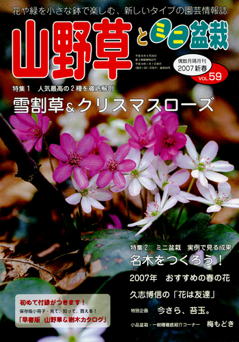 隔月刊「山野草とミニ盆栽」07年新春号