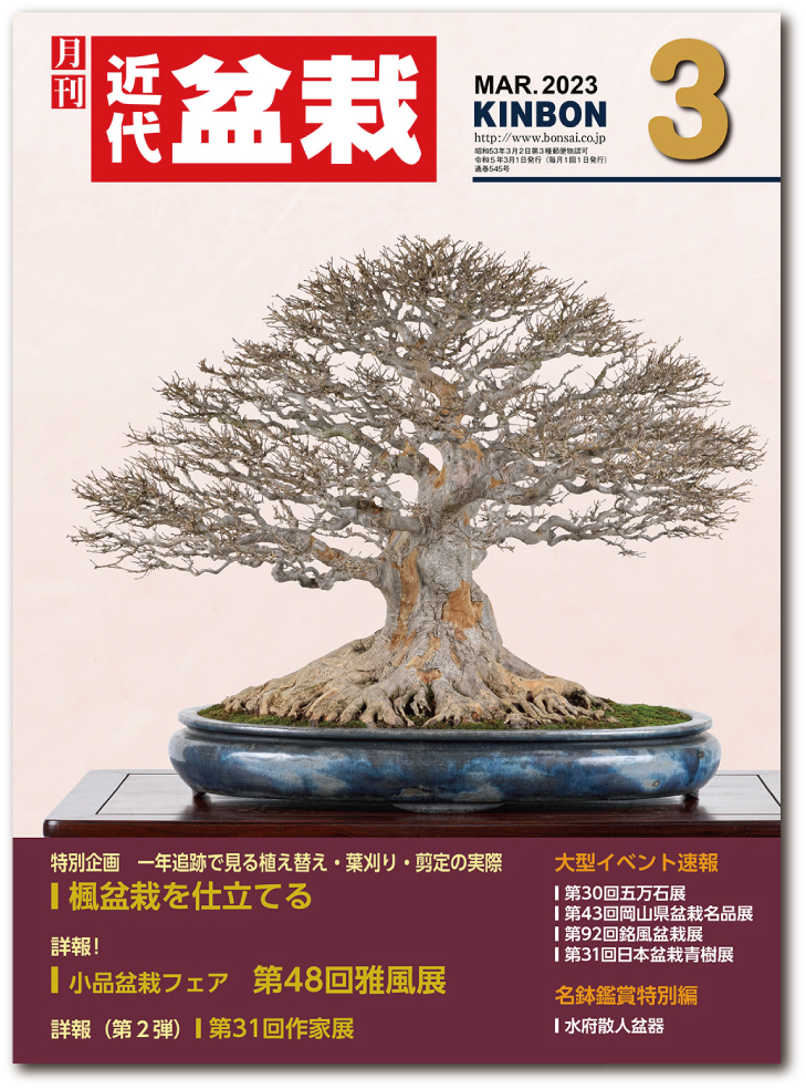 月刊「近代盆栽」2023年3月号