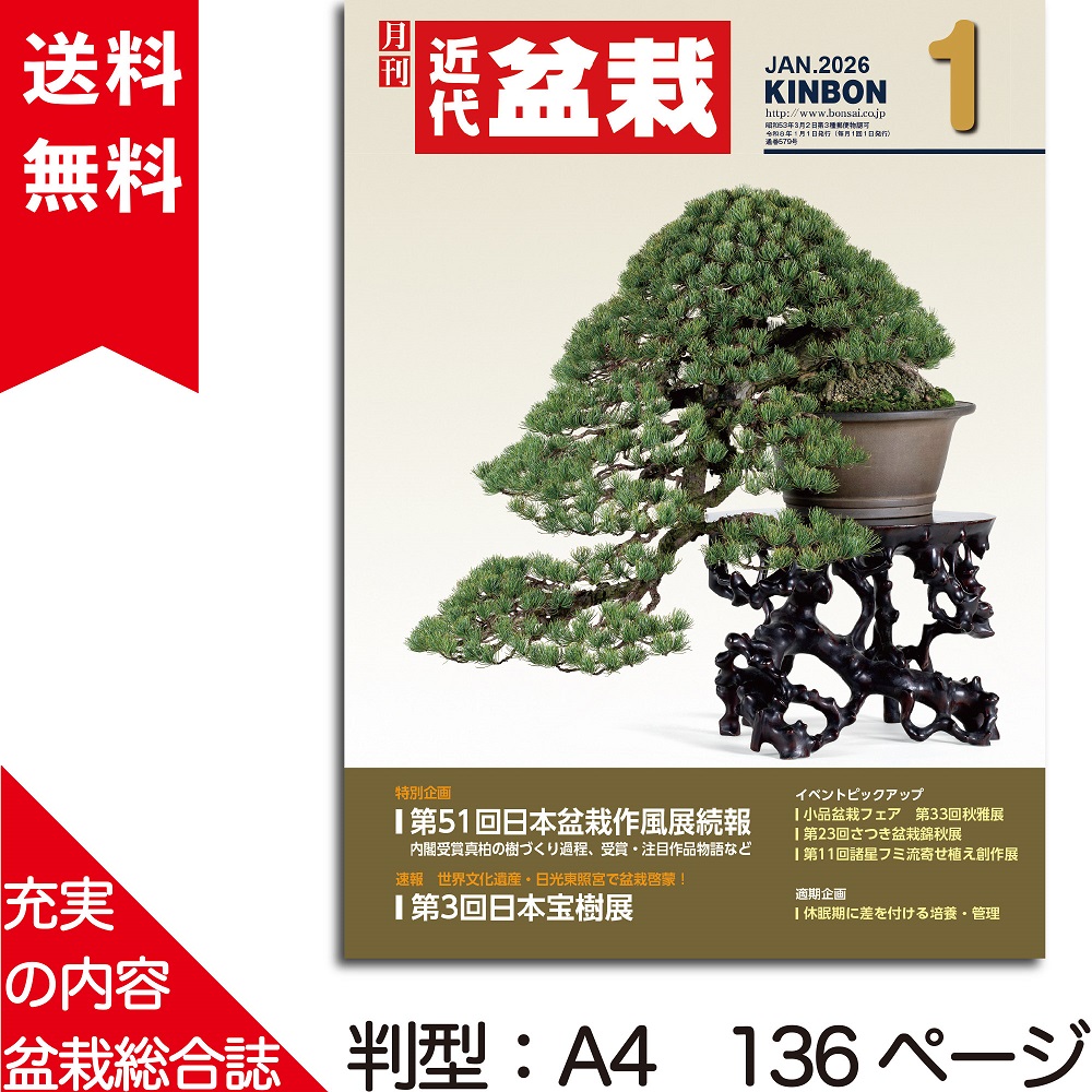 月刊「近代盆栽」2026年1月号
