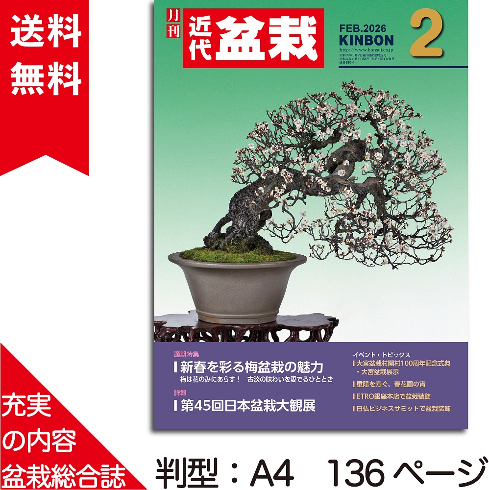 月刊「近代盆栽」2026年2月号