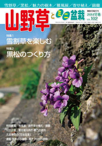 隔月刊「山野草とミニ盆栽」14年早春号