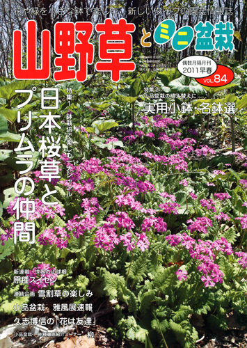 隔月刊「山野草とミニ盆栽」11年早春号