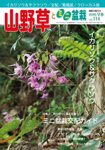 隔月刊「山野草とミニ盆栽」16年早春号
