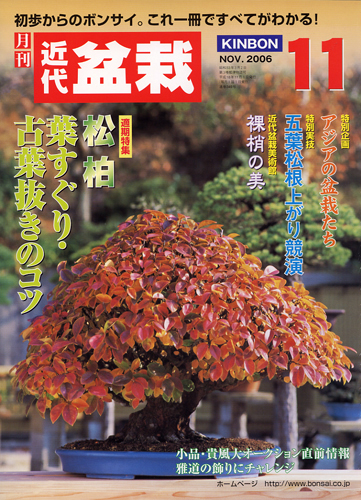 月刊「近代盆栽」2006年11月号