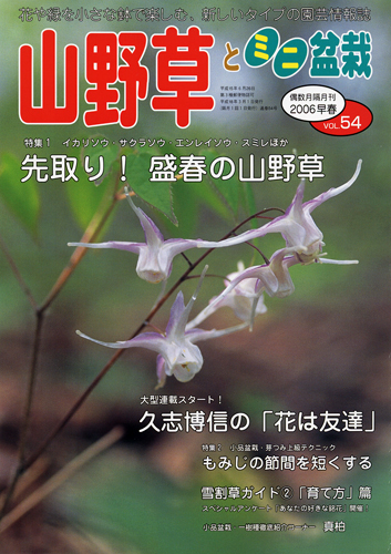 隔月刊「山野草とミニ盆栽」06年早春号