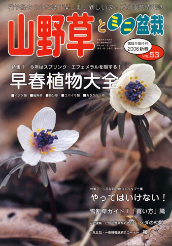 隔月刊「山野草とミニ盆栽」06年新春号