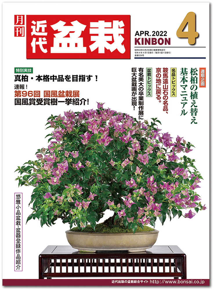 月刊「近代盆栽」2022年4月号