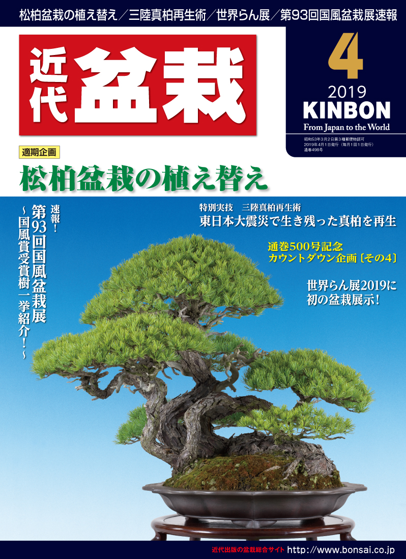 月刊「近代盆栽」2019年4月号
