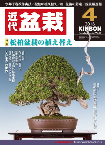 月刊「近代盆栽」2016年4月号