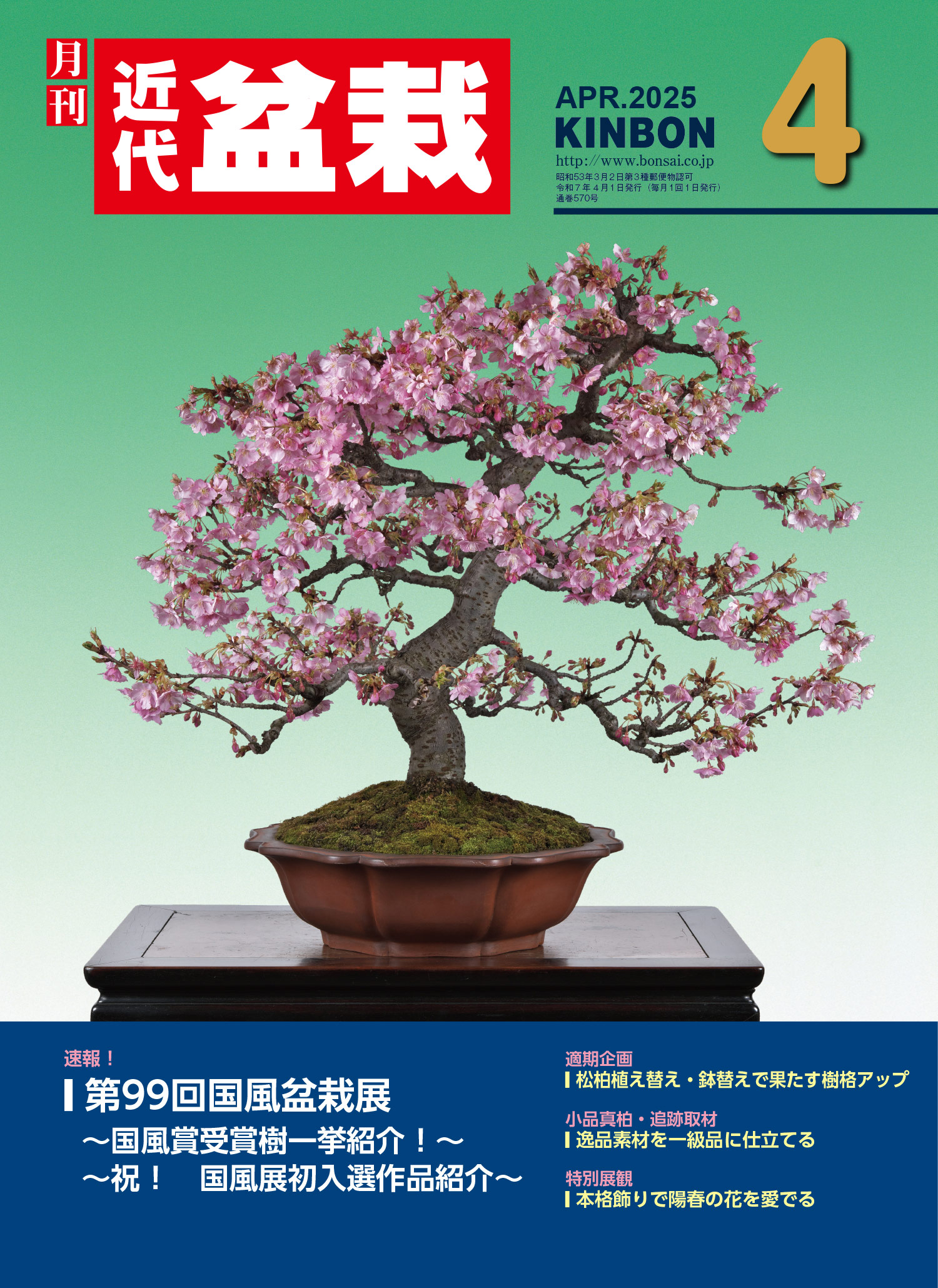 月刊「近代盆栽」2025年4月号