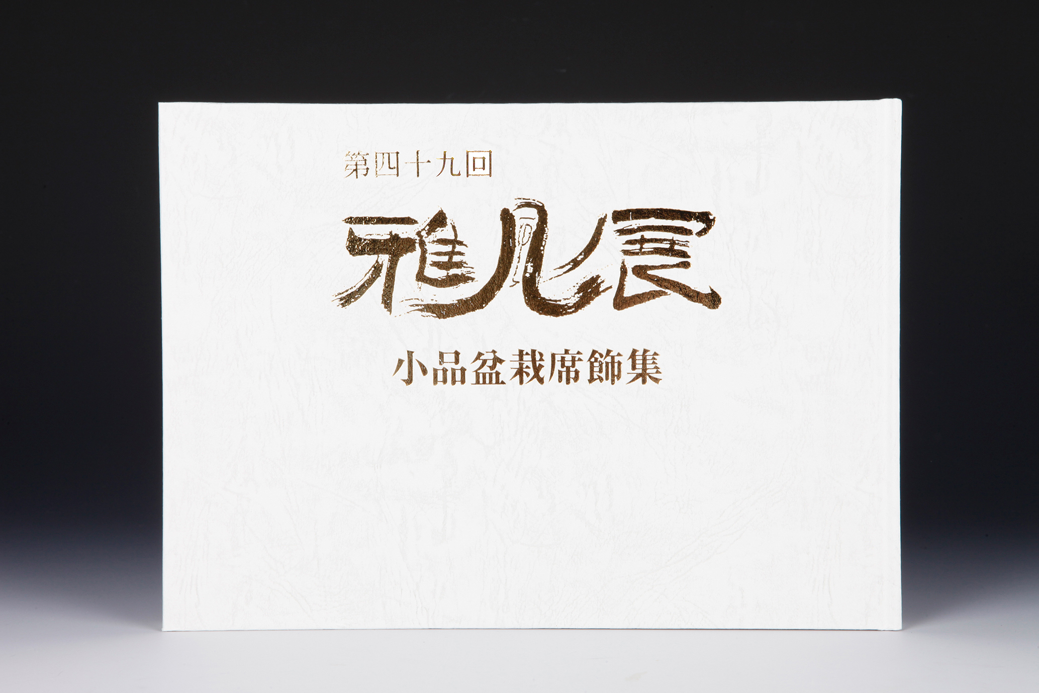 第49回 雅風展記念帖