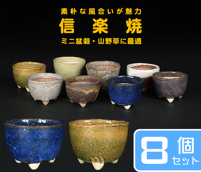 信楽焼楽風ミニ鉢8点セット