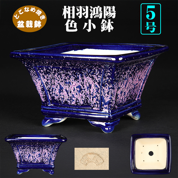 鴻陽瑠璃ピンク結晶釉額面正方鉢