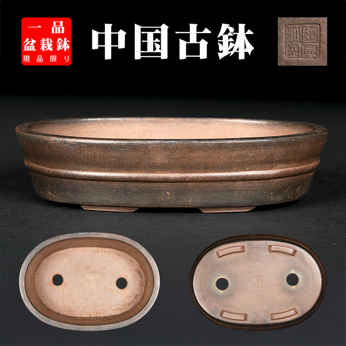 紫泥胴紐楕円鉢〔阿曼陀室〕