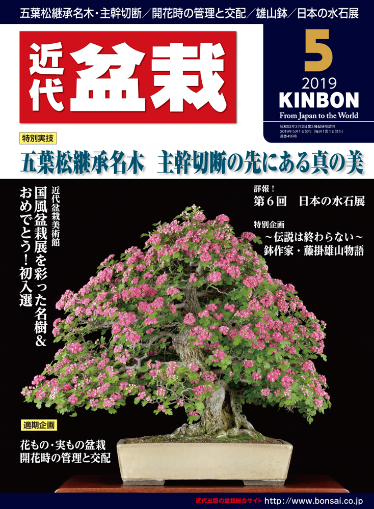 月刊「近代盆栽」2019年5月号