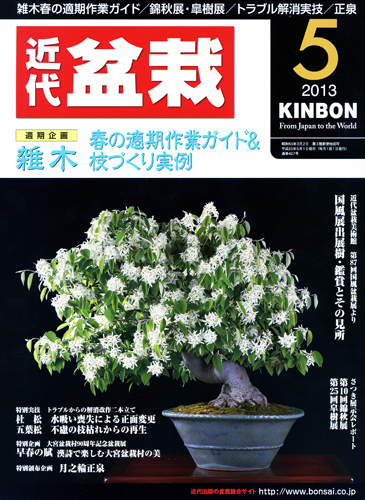 月刊「近代盆栽」2013年5月号