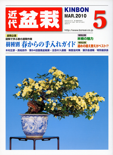 月刊「近代盆栽」2010年5月号