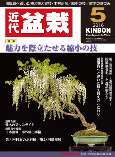 月刊「近代盆栽」2016年5月号