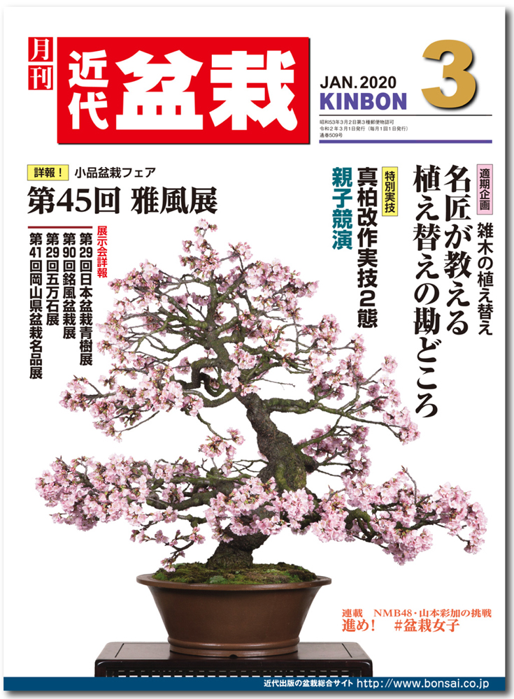月刊「近代盆栽」2020年3月号