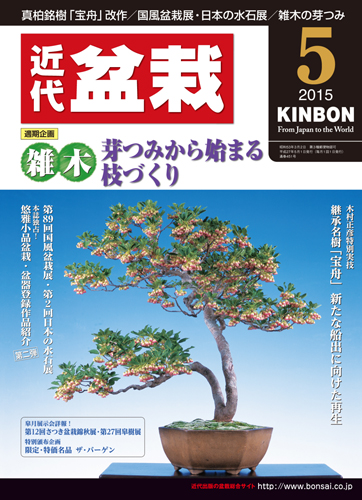月刊「近代盆栽」2015年5月号