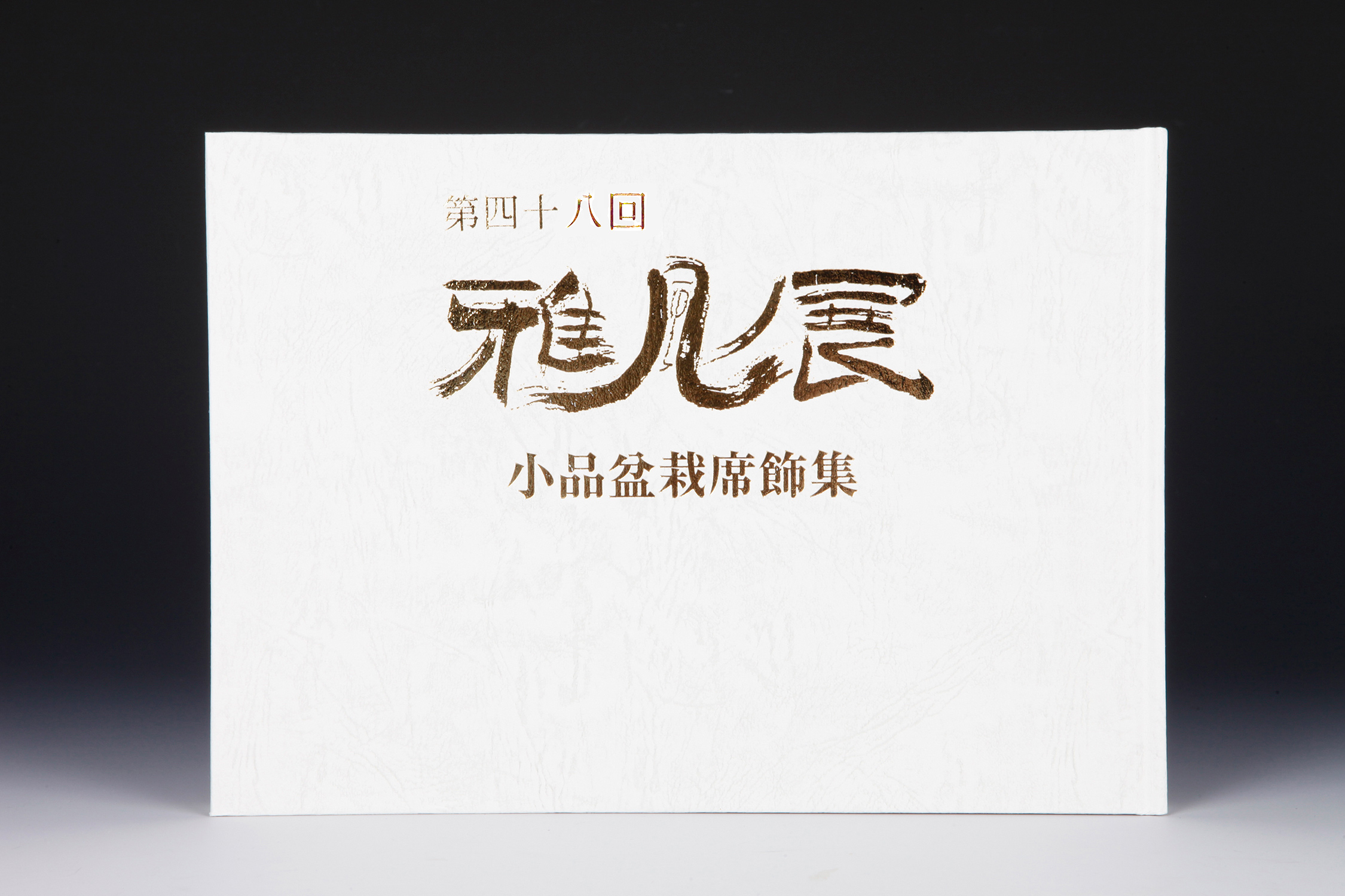 第48回 雅風展記念帖