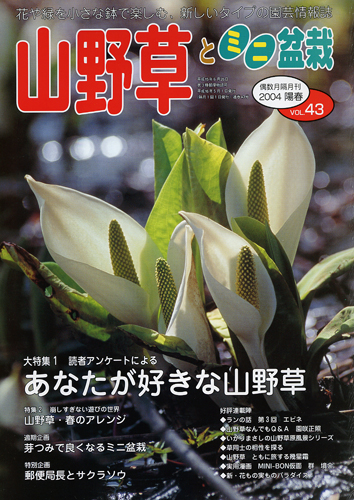 隔月刊「山野草とミニ盆栽」04年陽春号