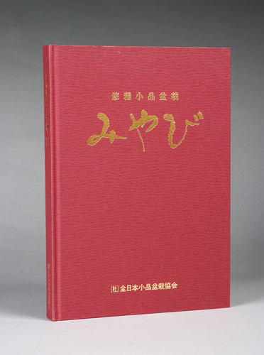 悠雅小品盆栽「みやび」