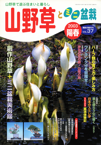 隔月刊「山野草とミニ盆栽」03年陽春号