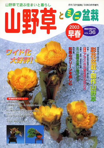 隔月刊「山野草とミニ盆栽」03年早春号