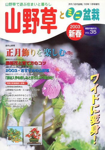 隔月刊「山野草とミニ盆栽」03年新春号
