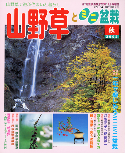 隔月刊「山野草とミニ盆栽」02年秋号