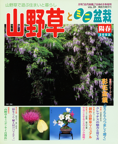 隔月刊「山野草とミニ盆栽」02年陽春号