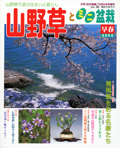 隔月刊「山野草とミニ盆栽」02年早春号