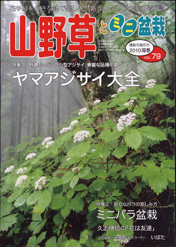 隔月刊「山野草とミニ盆栽」10年陽春号