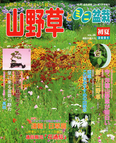 隔月刊「山野草とミニ盆栽」01年初夏号