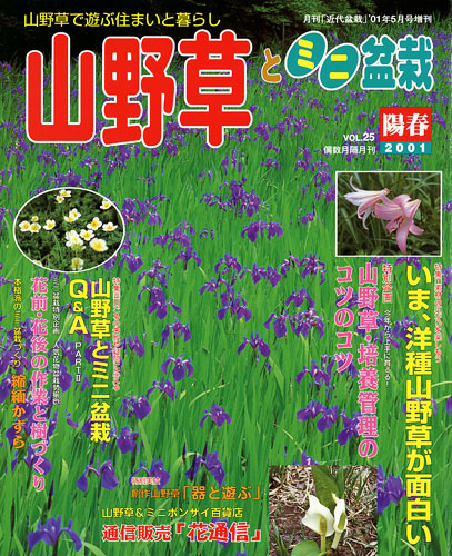 隔月刊「山野草とミニ盆栽」01年陽春号