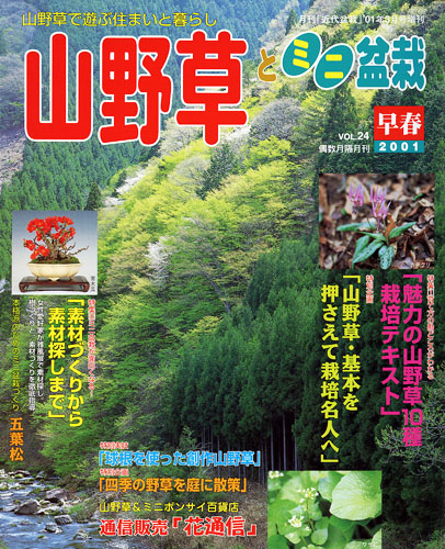 隔月刊「山野草とミニ盆栽」01年早春号