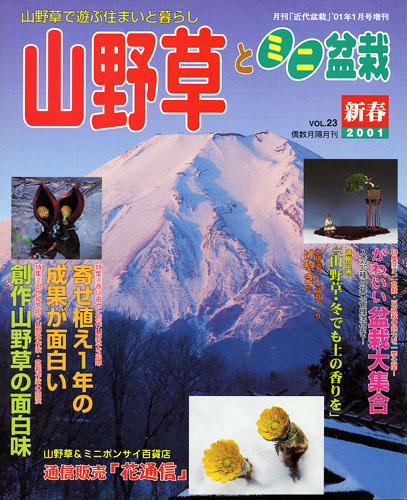 隔月刊「山野草とミニ盆栽」01年新春号