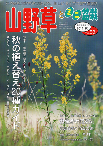 隔月刊「山野草とミニ盆栽」11年秋号