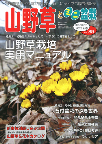 隔月刊「山野草とミニ盆栽」12年新春号