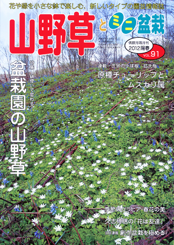 隔月刊「山野草とミニ盆栽」12年陽春号