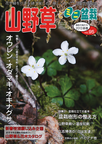 隔月刊「山野草とミニ盆栽」13年新春号