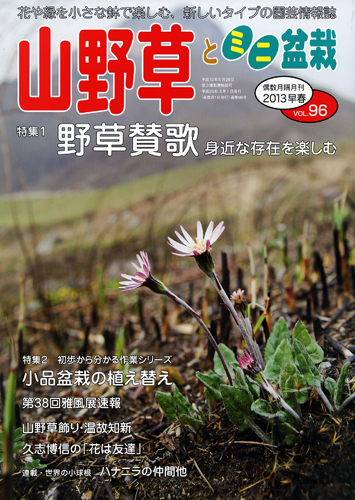 隔月刊「山野草とミニ盆栽」13年早春号