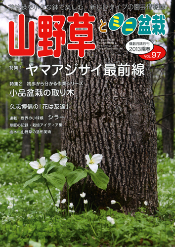 隔月刊「山野草とミニ盆栽」13年陽春号
