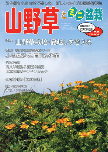 隔月刊「山野草とミニ盆栽」13年初夏号